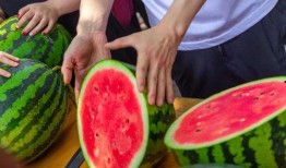 今日吃瓜在线观看,揭秘娱乐圈最新热点事件